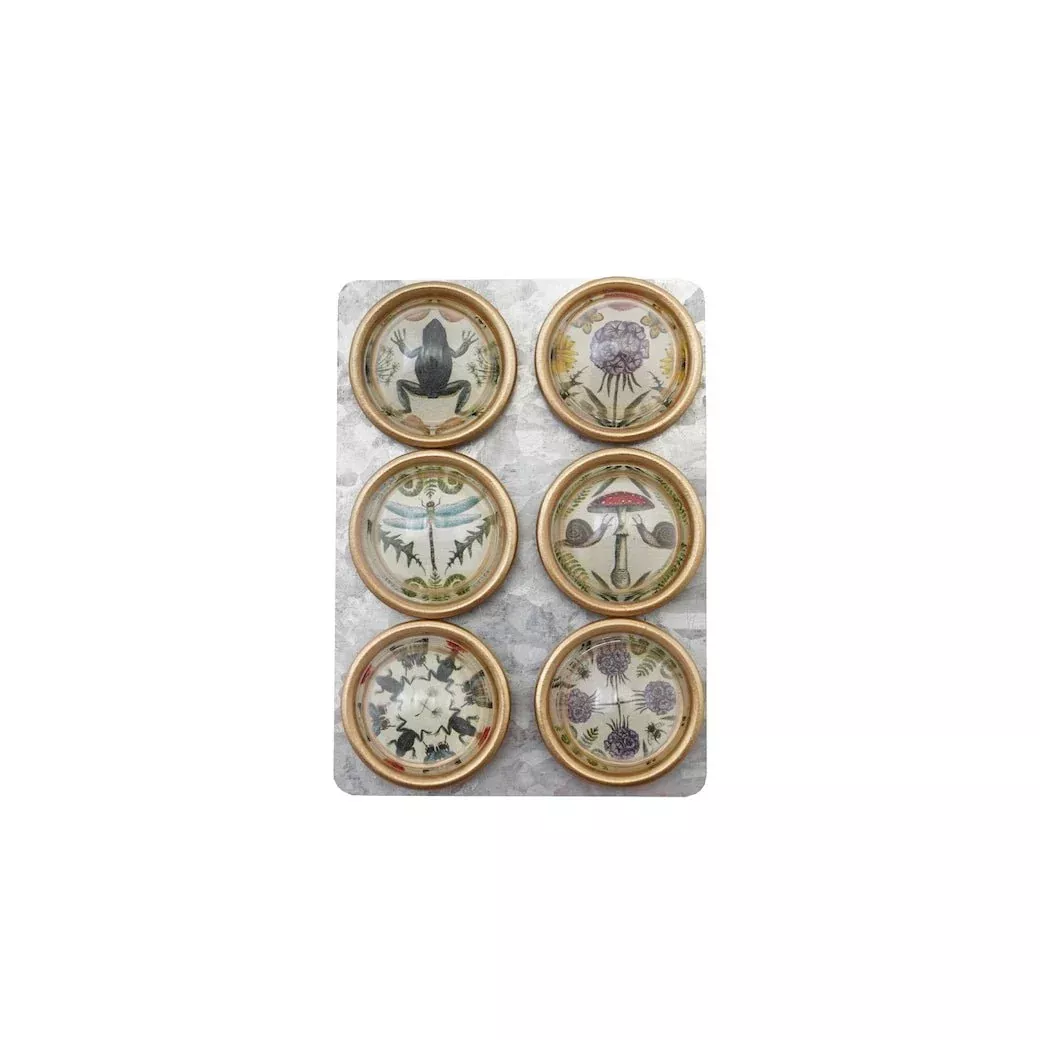 Set of Six Convex Magnets w Flora & Fauna