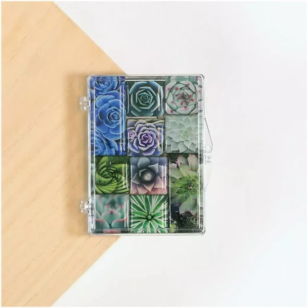 Set of Ten Mighty Magnets Succulents