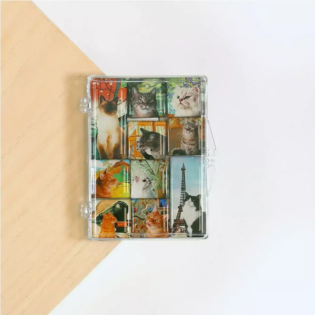 Set of Ten Mighty Magnets Traveling Cats