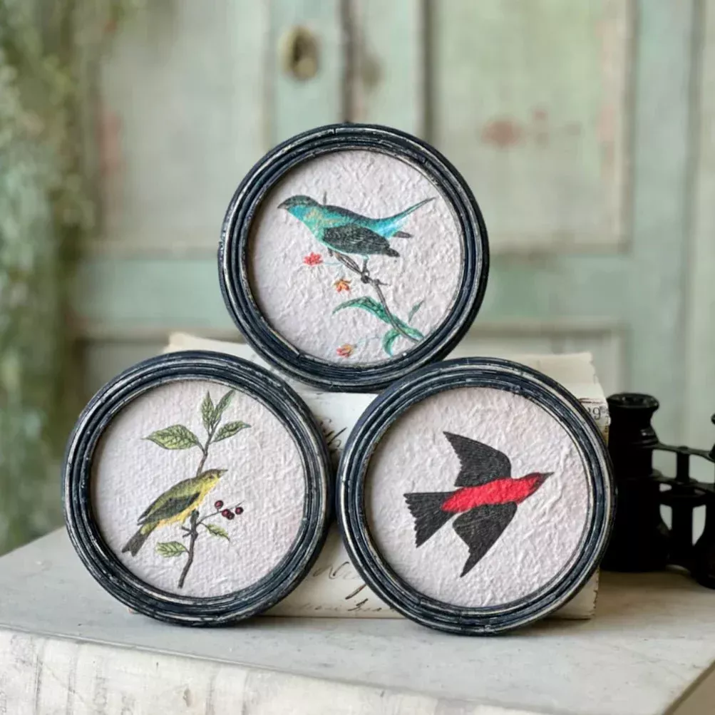 Set of Three Petite Perched Birds Round Framed Prints