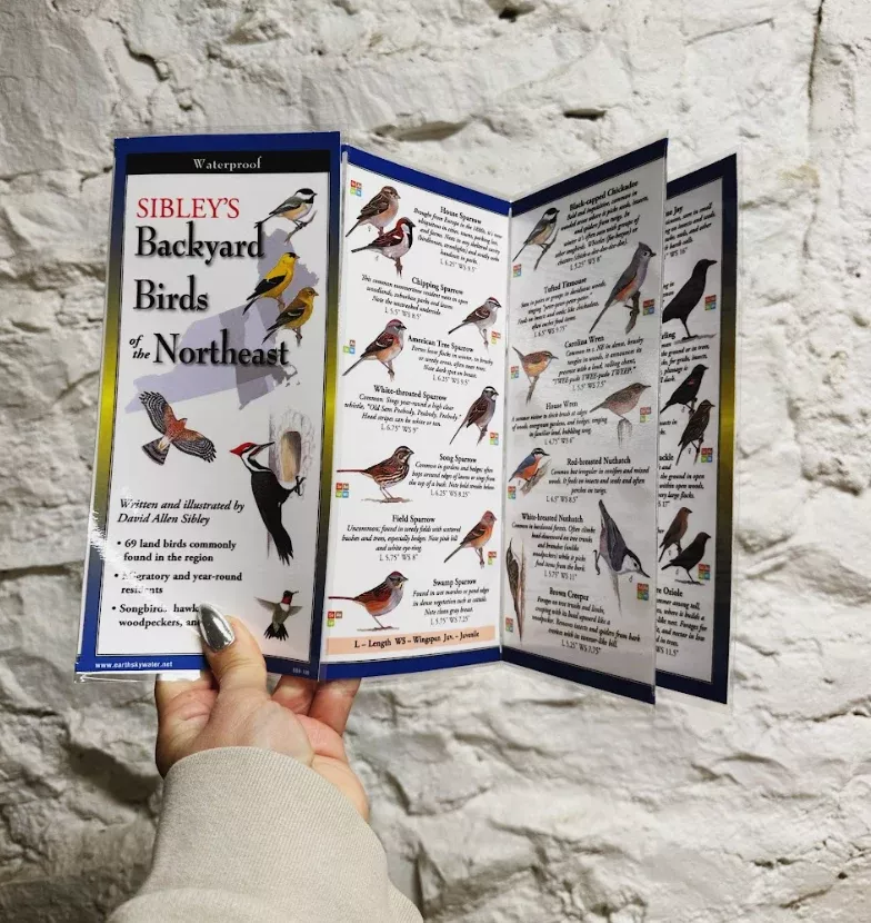Sibley's Backyard Birds of the Northeast Folding Guide
