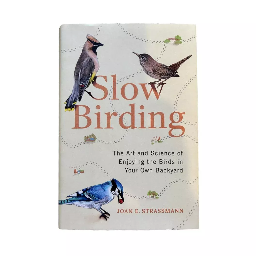 Slow Birding Hardcover Book by Joan E Strassmann