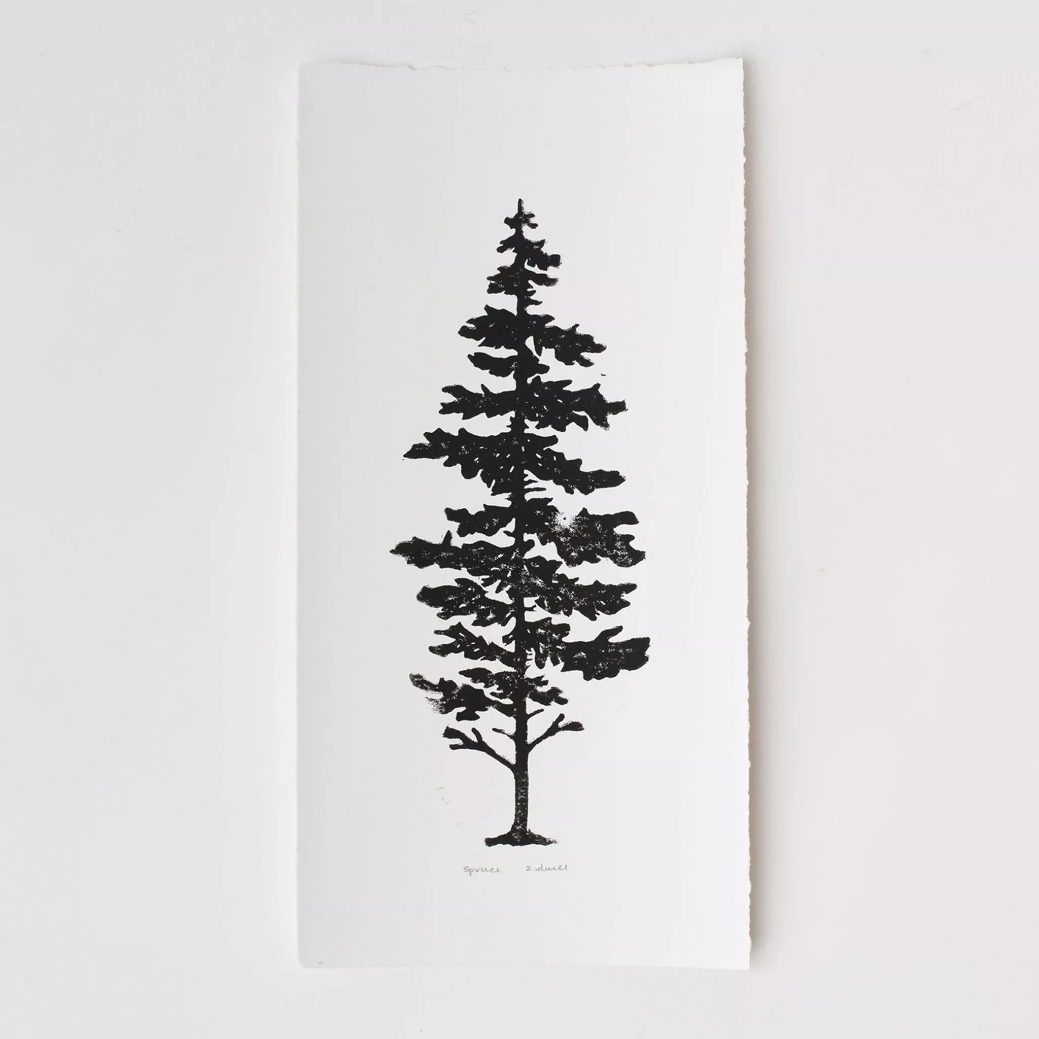 Spruce 8 x 16 Print