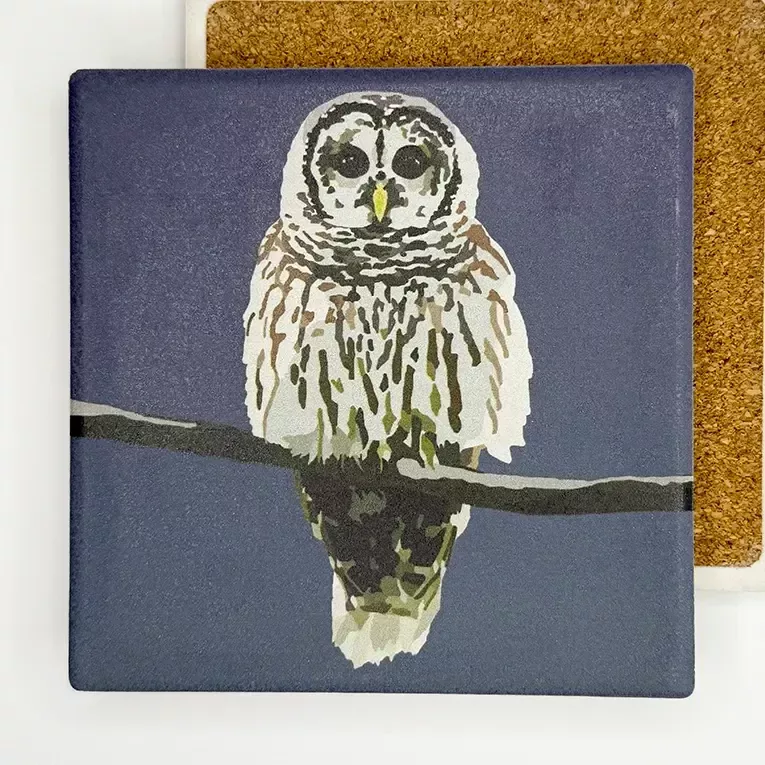 Stone Bird Coaster Barred Owl