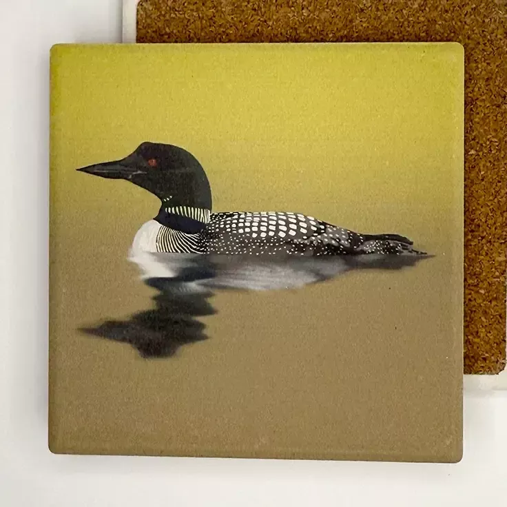 Stone Bird Coaster Common Loon