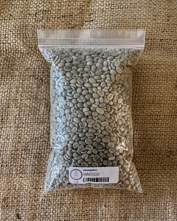 Unroasted - Harvest Gold - Limited Edition - 2LB