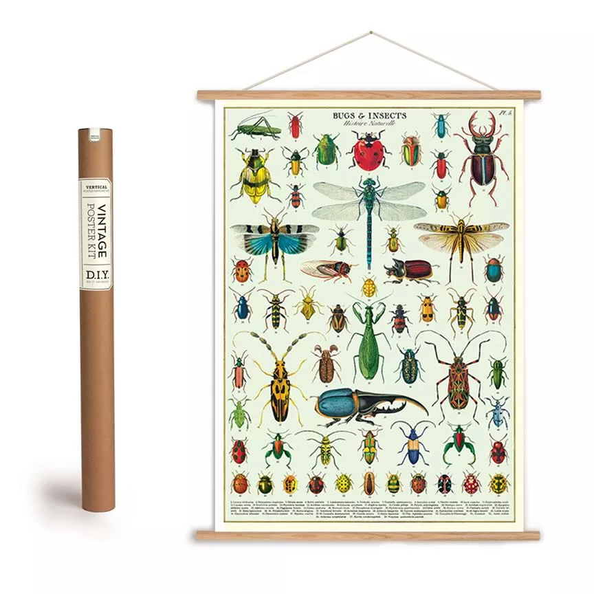 Vintage-Style Bugs & Insects Specimens Art Poster + Hanging Kit
