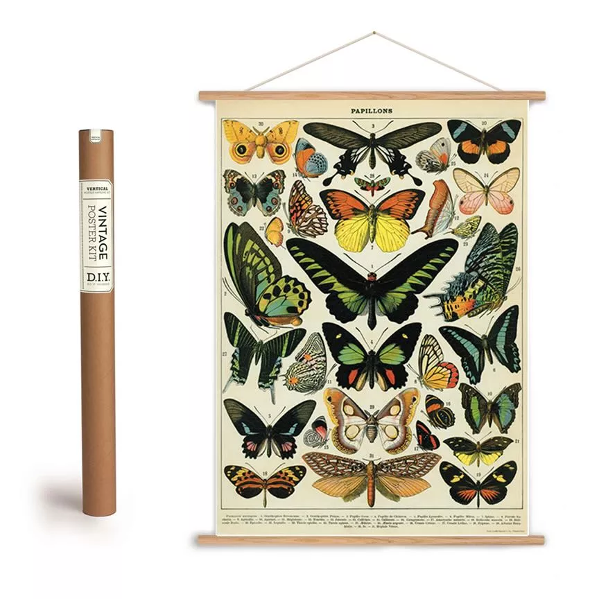 Vintage-Style Butterflies & Moths Art Poster + Hanging Kit