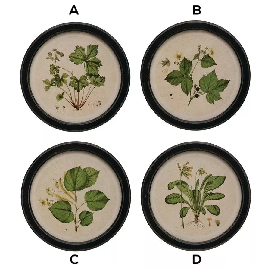 Vintage-Style Round Botanical Prints - CHOICE of 4 Styles