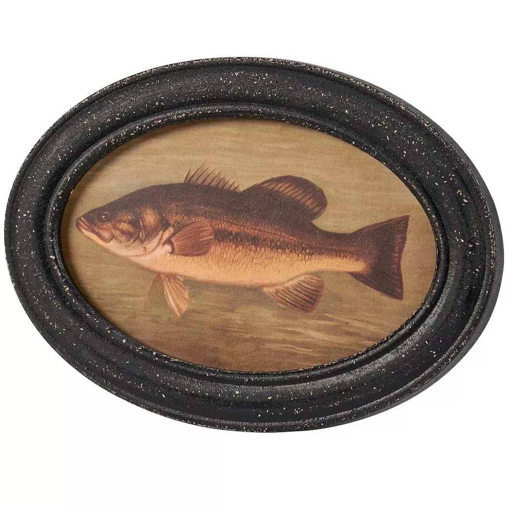 Vintage-Styled Oval Framed Bass Print