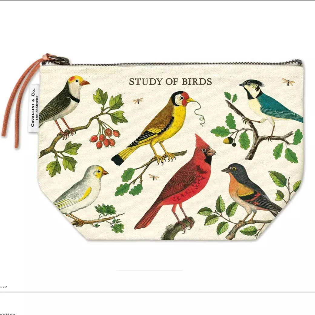 Zippered Pouch Study of Birds